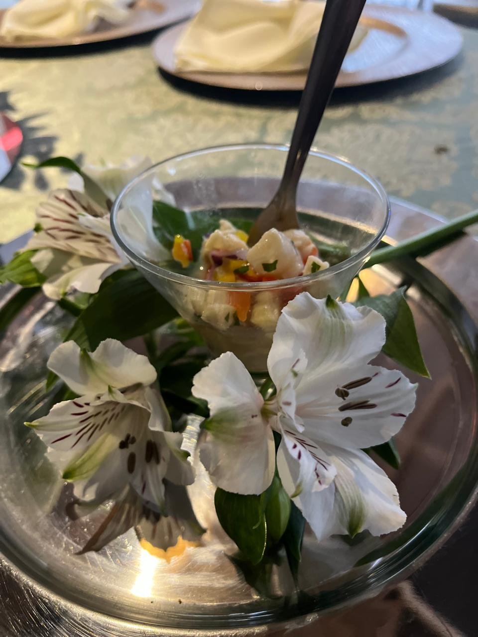 WhatsApp Image 2026-02-23 at 14.07.14